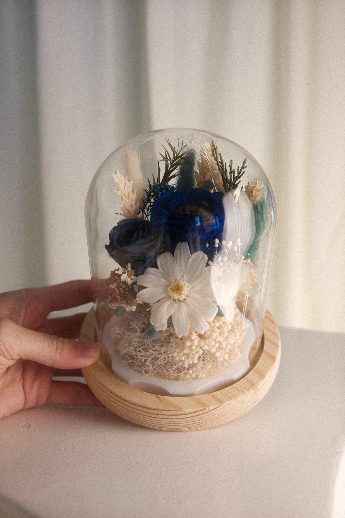 Ocean Daisy Classic Glass Dome